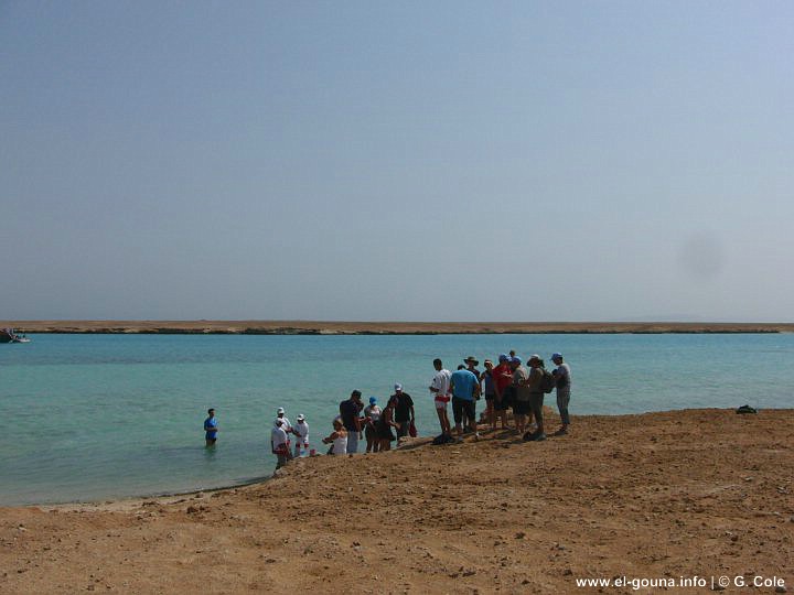 Green Gouna Tawila Island 023